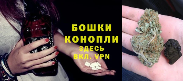 гидропоника Богданович