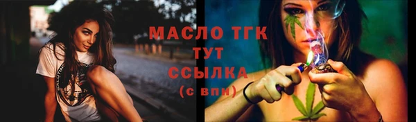 прущий лед Бородино