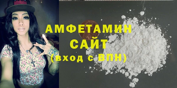 прущий лед Бородино