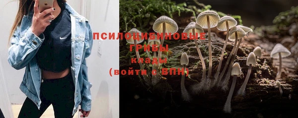 прущий лед Бородино