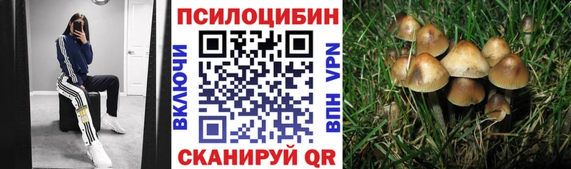 Галлюциногенные грибы Magic Shrooms  Гороховец 